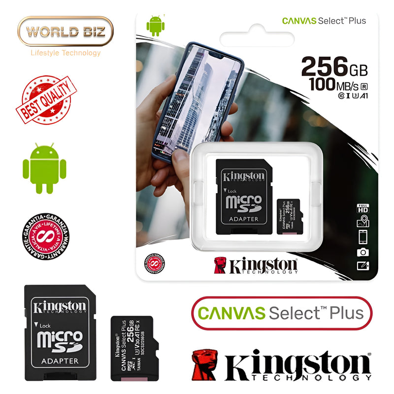 256GB Kingston Card With Adapter