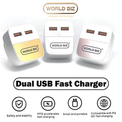 Compact Dual-Port Power Adapter